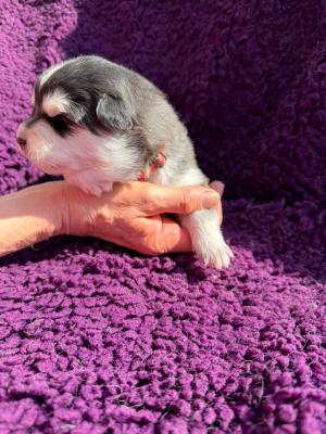 images/J-Wurf/Jodie Forster/3b884afb-3c1d-4a87-b157-e9a805811ebd.jpg